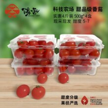 阳香小番茄实惠装500g*2盒99.8元（需关注店铺，需首购，合49.9元/件）