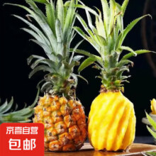 菠萝 2.6斤-2.8斤2.99元
