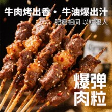 顶诺 安格斯孜然牛肉串 240g*5袋￥79.90 6.7折