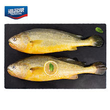 海名威 鲜冻黄花鱼 2条 700g29.32元（需买3件，需用券）