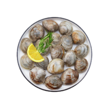 鲜京采 鲜活大美贝 5斤 每斤15-20粒16.7元