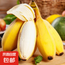 正宗广西苹果蕉香蕉新鲜水果用苹果催熟宝宝蕉水果冰浪 净重3斤16.9元