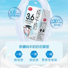 MAIQUER 麦趣尔 3.6g原生乳蛋白纯牛奶125mL*10盒￥15.65