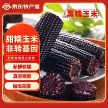 王老宝 东北黑糯玉米 180-220克（段状） 10个券后12.9元