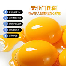 九華粮品 可生食富硒鸡蛋 36枚券后22.3元