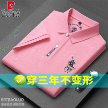 皮尔卡丹新款短袖T恤男衫夏季刺绣棉高端有领休闲宽松大码衣服针织 粉色 XL 【140-155斤穿】79元