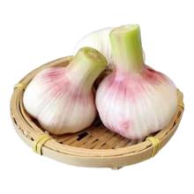五谷磨房 黑之养 五黑豆浆粉 盒装320g(32g*10条)￥28.9