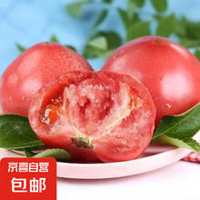 自营 西红柿/番茄 红果西红柿 2斤1.9元