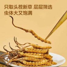 预售：京东京造 冬虫夏草礼盒20g 端午礼物约66根3-4根/g 老年人礼品送长辈补品1929元（定金10元）