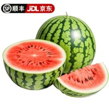 果农侠 云南麒麟西瓜现摘速发 净重6-7斤 1个瓜+多层保护券后16.9元