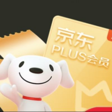 PLUS年卡会员 12个月88元