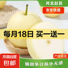 京喜加 赵州皇冠梨河北皇冠梨新鲜水果产地直发脆甜多汁 带箱4斤 单果160g+券后6.99元