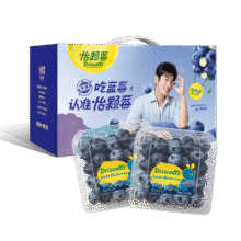 怡颗莓 云南当季蓝莓 125g*10盒（12mm+）69.8元（需领券）