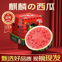 春福乐 国产 8424麒麟西瓜 7-9斤券后17.8元
