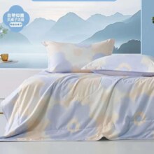 百丽丝 水星家纺 A类可水洗夏凉被150cm*200cm39元（需领券）
