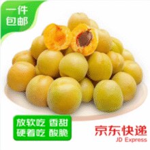 京鲜生 现摘酸甜脆鲜大黄杏 净重4.5斤/单果50g+￥22.73 7.9折