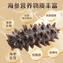 京东PLUS：京觅 大连冷冻即食海参 500g礼盒装 12-17头120.05元（双重优惠）