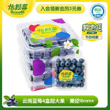 Driscoll's 怡颗莓 当季云南蓝莓Jumbo超大果 18mm+ 4盒装 125g/盒55元
