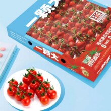 88VIP：一颗大 串收樱桃番茄礼盒 1kg15.8元包邮+604淘金币（需领券）