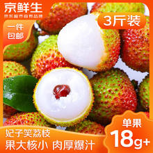 京鲜生 海南妃子笑荔枝 3斤装 单果18g起 当季新鲜水果 源头直发包邮34.9元