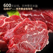龍江和牛 LONGJIANG WAGYU 国产和牛原切牛腱子2斤 生鲜牛肉 酱卤炖煮食材68.23元
