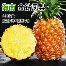 虔园 海南金钻凤梨 产地直发 净重3-3.5斤（3个）单果400-650g券后12.9元
