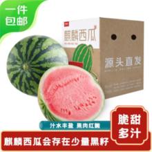 京鲜生 无籽麒麟西瓜 净重7-8斤 生鲜水果 源头直发券后19.5元