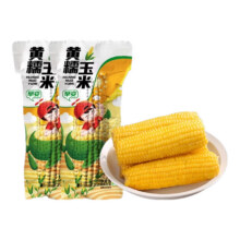 当季新货东北黄糯玉米棒7.9元