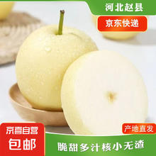 京喜加 赵州皇冠梨河北皇冠梨产地直发 带箱4斤小花皮（单果200g+）4.95元