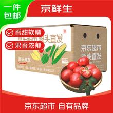 京百味 京鲜生 寿光普罗旺斯西红柿 净重4.5斤 单果120g起 沙瓤番茄 源头直发11.6元