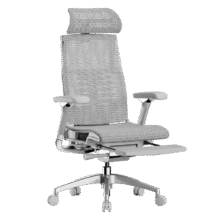 20点、plus会员： Ergonor保友Pofit 2 人体工学椅办公椅子电脑椅电竞椅 银白网+躺舒宝1920元（晒单返50元）