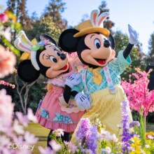 上海迪士尼度假区-1日票369元起