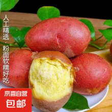 内蒙 红皮土豆大果 2斤 单果150g+2.69元