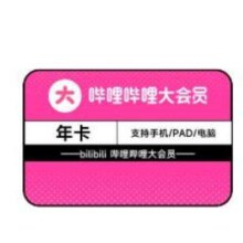 哔哩哔哩 bilibili 大会员年卡