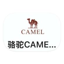 促销活动：唯品会 骆驼CAMEL 断码库存捡漏断码库存捡漏