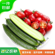 京东PLUS：京百味 水果黄瓜圣女果组合 2.5kg装券后16.68元