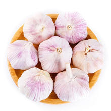 京喜 当年新干蒜大蒜头新鲜蔬菜种籽干大蒜大祘紫皮生鲜蔬菜 干大蒜 1斤3.03元