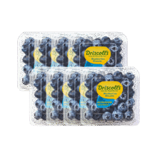 怡颗莓 当季云南蓝莓 国产 新鲜蓝莓 生鲜水果 送礼 蓝莓小果125g*12盒79.8元（需领券）