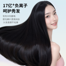 志高 负离子护发高风速速干 象牙白69元（需领券）包邮