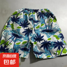 男士摆地摊批发速干短裤宽松五分漂流冲浪海边游泳夜市 偏蓝色混发 均码1.05元