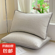 京喜自营 冰豆豆冰丝枕套 灰色 48x74cm 一只装1元包邮(22点前有效 随时涨价)