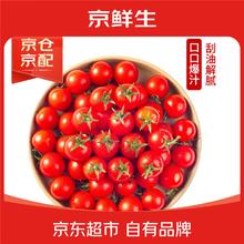 京鲜生 千禧小番茄/圣女果 2斤装 单果8-16g 生鲜水果27.11元
