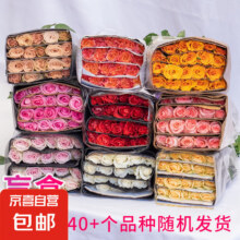 母亲节520必备玫瑰！！玫瑰花 随机色10枝 杆长45-50CM9.99元