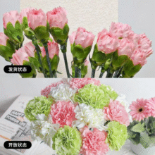 盒马同款鲜花云南基地直发女神节礼物送妈妈鲜切花5 随机颜色10支4.49元（需领券）