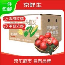 京鲜生 山东普罗旺斯番茄 单果125g+ 净重4.5斤15.73元包邮