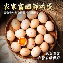 耕果妙 河南濮阳富硒鸡蛋30枚3斤新鲜谷物鸡蛋笨鸡蛋整箱源头直发 富硒鸡蛋30枚净重3斤券后15.59元