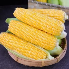 天降礼金：淘宝买菜 新鲜水果玉米 5斤7.89元（合1.58元/斤，需88VIP全能卡，+1.91元淘金币）