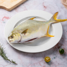 翔泰 冷冻二去金鲳鱼340g1条  生鲜鱼类 火锅食材 海鲜水产21.4元 (月销1w+)