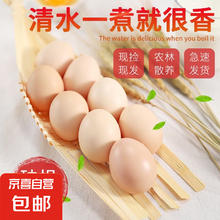 京喜加 新鲜农村土鸡蛋农家散养谷物喂养现捡现发40g 12枚1.89元