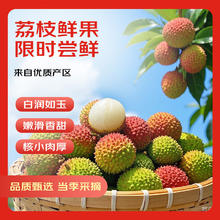 京鲜生 每斤9.8元：京鲜生 海南妃子笑荔枝 净重5斤（单果18g+）券后48.88元
